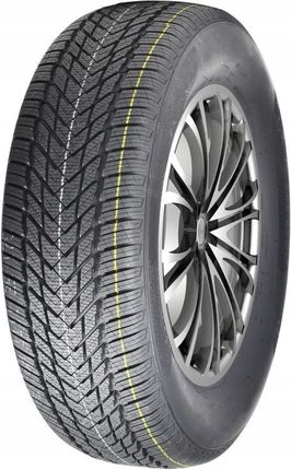 Powertrac Snowtour Pro 205/55R16 91H