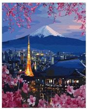 Zdjęcie Twoje Hobby Malowanie Po Numerach Japonia 40X50Cm - Ożarów Mazowiecki