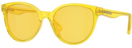 Okulary przeciwsłoneczne Versace 4427U 5374C9 46