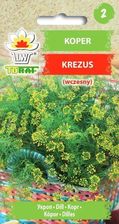 Zdjęcie Koper Ogrodowy Krezus Wczesny Nasiona - Reszel