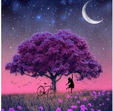 Zdjęcie Haft Diamentowy Mozaika H16137 14Da25487 - Gryfino