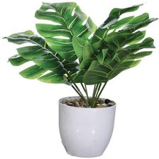 Zdjęcie Kwiat Sztuczny Monstera Jumi W Doniczce 25 Cm 329593 - Olesno