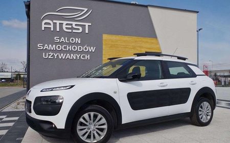 Citroen C4 Cactus BlueHdi Navi Pdc Alu Serwis ... - Opinie i ceny na  Ceneo.pl