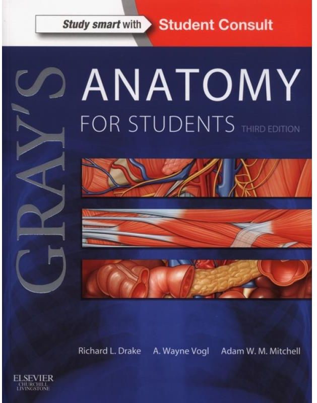 Gray'S Anatomy For Students 3E - Ceny I Opinie - Ceneo.pl