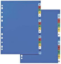 Zdjęcie Elba Tabblad Elba 120 mu A4 XL 1-12/se12 (175612-20) - Warta