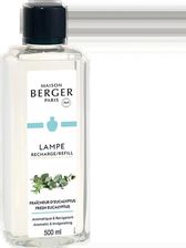 Zdjęcie Maison Berger Paris Olejek Zapachowy 500Ml Eukaliptus 26780 - Miłosław
