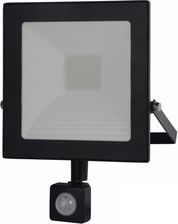 Halogen lampa LED zewnętrzna Loyal Lighting 4250lm LUMILEDS IP65 30W 4000K sensor ruchu