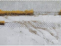 Zdjęcie Juweela Betonowe Płyty Chodnikowe 50szt. - Ostroróg