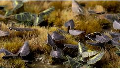 Zdjęcie Gamers Grass Laser Plants Black Magic Taro Kolokazja Black Magic - Chojna