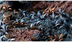 Zdjęcie Gamers Grass Laser Plants Alien Fern Paproć - Toruń