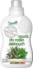 Zdjęcie Nawóz do Roślin Zielonych 250ml - Korsze