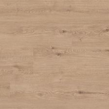 Zdjęcie Faus Dąb Toja Eco S184169 - Recz