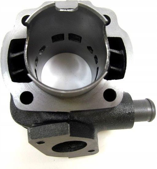 Erianto Chai　さま Amazon.co.jp: 三晃商会 SANKO ビタミンCサプリ (お徳用