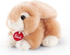 Zdjęcie Trudi Królik Jeremy S - Susz