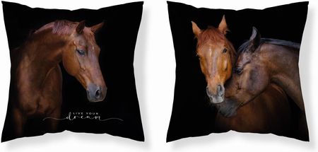Detexpol poszewka na poduszkę 40x40 dekoracyjna koń konie