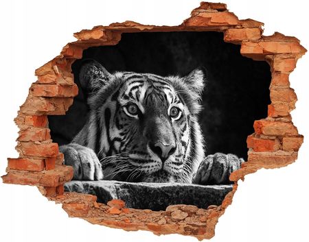 Dziura 3D Fototapeta Naklejka Tygrys 90X70