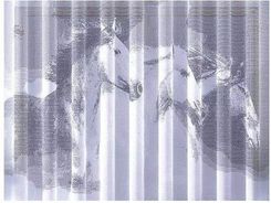 Konie Firanka 250 X 150 Cm Horses Biały Dzieci