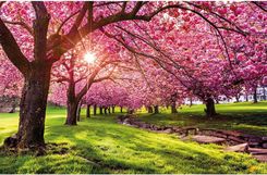 Zdjęcie Kalendarz 2026 ścienny Górskie widoki - Pruszków