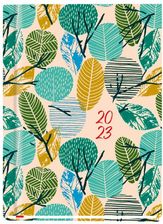 Zdjęcie Terminarz OLA 2023 - Ostroróg