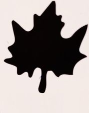 Zdjęcie Brewis Dziurkacz Ozdobny 7 5Cm Klon D76 35 - Miłosław