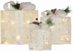 Zdjęcie Emos Pl Sp. Z O Dekoracje 60 Led Prezenty 11/13 5/20 Cm Złote Zimna Biel Ip44 1314950 - Rybnik