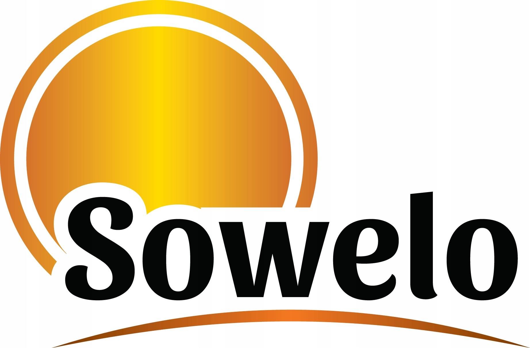 Sowelo Witamina C 1000Mg + Bioflawonoidy 100 tabl. - Opinie i ceny na ...