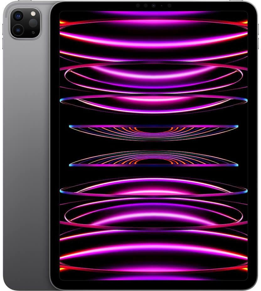 タブレット iPad - IPad Pro Tablet Apple iPad Pro 11 M2 2TB WiFi Gwiezdna Szarość