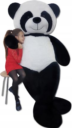 Odol-Plusz Odol Plusz Duży Miś Pluszowy Panda 220Cm Maskotka Gigant
