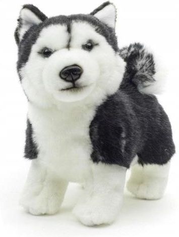 Uni-Toys - Husky grau, liegend - 43 cm (Länge) - Plüsch-Hund, Haustier