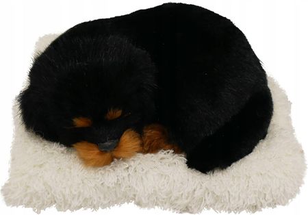Stawscy Śpiący Piesek Figurka Szczeka Posłanko Rottweiler