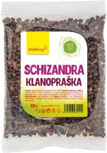 Zdjęcie Wolfberry Schizandra Owoc Klanopraška 50G - Swarzędz