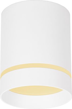Ledhoff Oprawa Natynkowa Sufitowa Tuba Led Gu10 80X110Mm (Dlr80110Wsr)