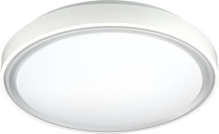 Smartled Panel Led Natynkowy Plafon Lampa 30W Biało Srebrny (C1102D400)