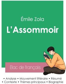 Réussir Son Bac De Français 2023 : Analyse De L'Assommoir D'Émile Zola ...