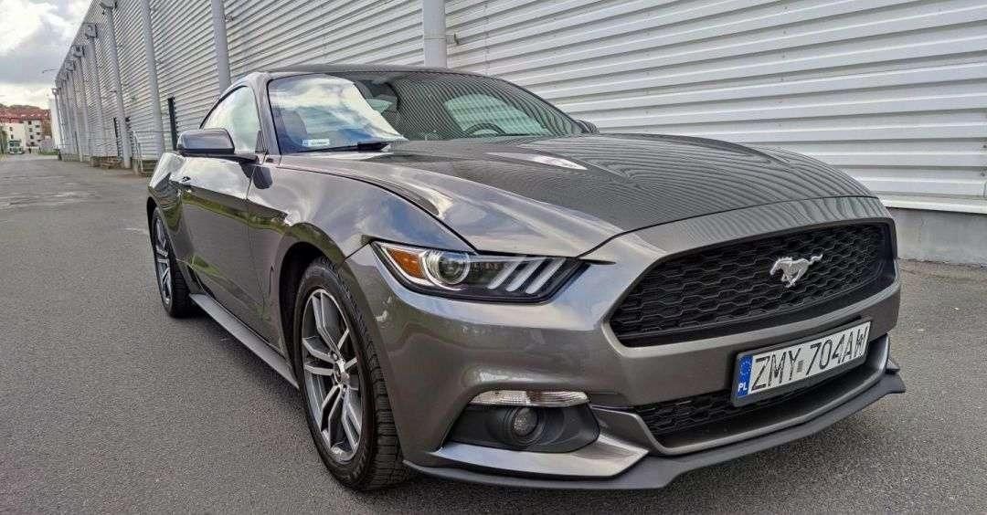 ford-mustang-uzywane-ford-mustang-87-900-pln-opinie-i-ceny-na