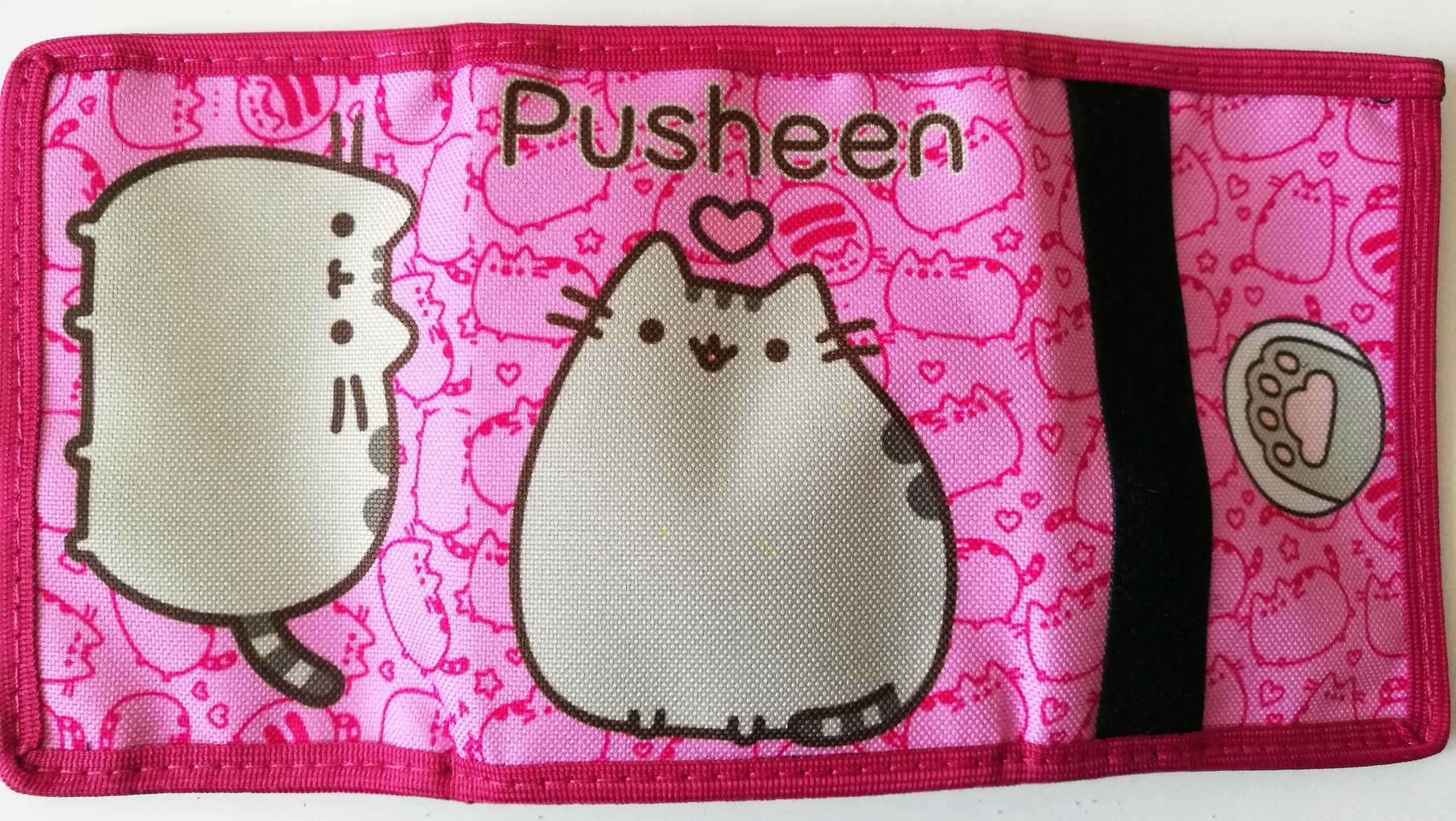 Saszetka Nerka Kot Pusheen Portfel Komplet R Ow Ceny I Opinie Ceneo Pl