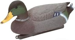 Zdjęcie Dekoracja Kaczor Mallard 36864 - Szczawno-Zdrój
