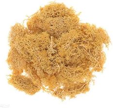 Zdjęcie Dalprint Mech Dpcraf Ochrowy 30G (AC768DLP) - Bisztynek