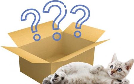 MYSTERY BOX dla Twojego kota Paczka niespodzianka L