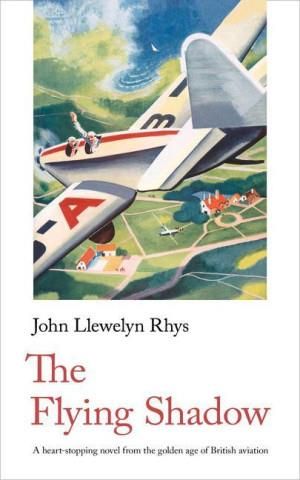 Flying Shadow - Literatura obcojęzyczna - Ceny i opinie - Ceneo.pl