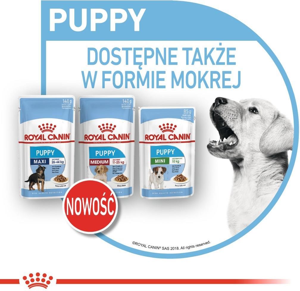 Karma Royal Canin Mini Puppy 8Kg - Ceny i opinie - Ceneo.pl