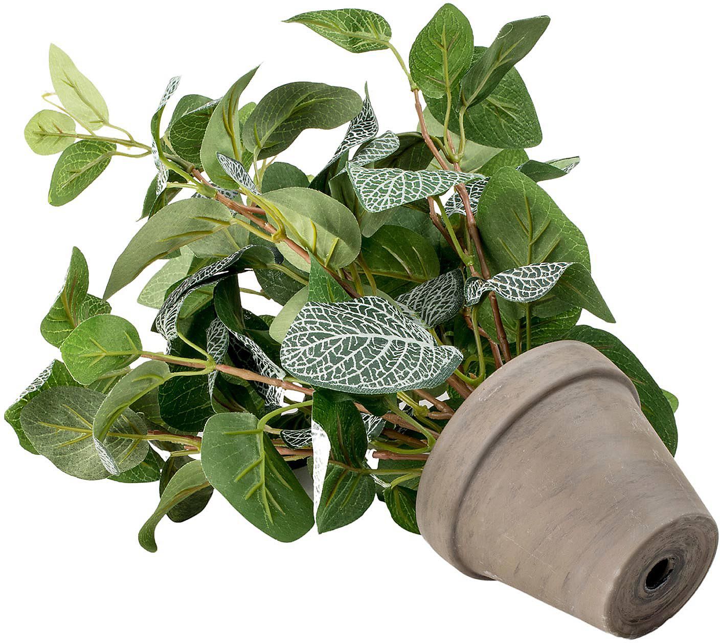 Tajemniczy Ogród Sztuczna Pilea W Doniczce 11,5cm - zdjęcie 1 Tajemniczy Ogród Sztuczna Pilea W Doniczce 11,5cm