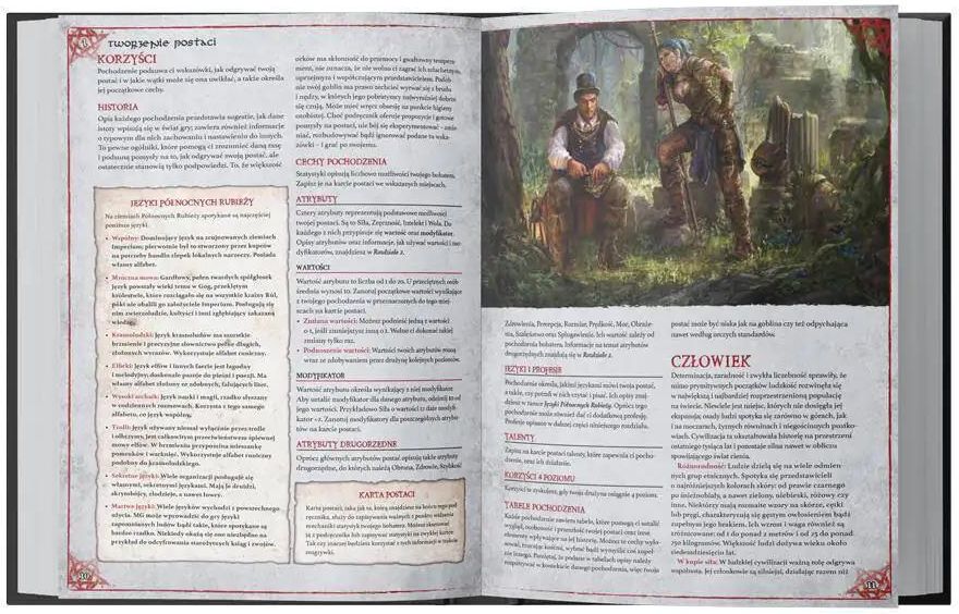 Cień Władcy Demonów - Podręcznik główny - zdjęcie 4 Cień Władcy Demonów - Podręcznik główny