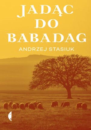 Jadąc do Babadag - Andrzej Stasiuk (E-book)