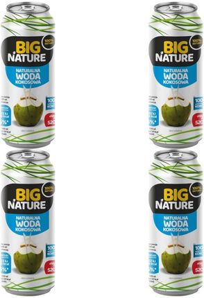 Big Nature Mix Brands Woda Kokosowa 4x520ml