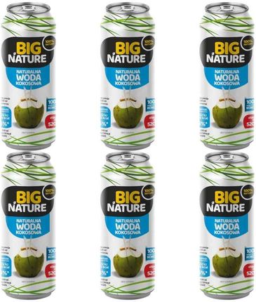 Big Nature Mix Brands Woda Kokosowa 6x520ml