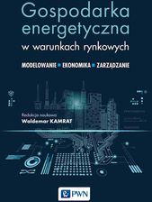 Zdjęcie Gospodarka energetyczna w warunkach rynkowych - Dzierżoniów