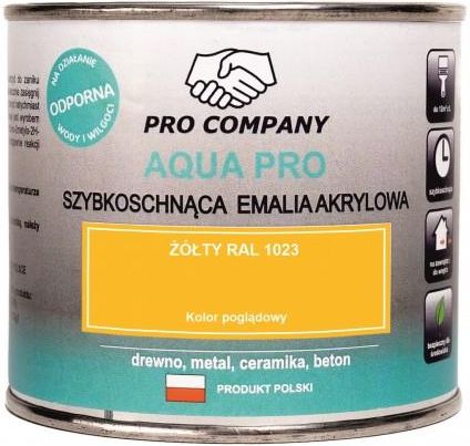 Pro Company Aqua Emalia Szybkoschnąca 0,2l Żółty 1023