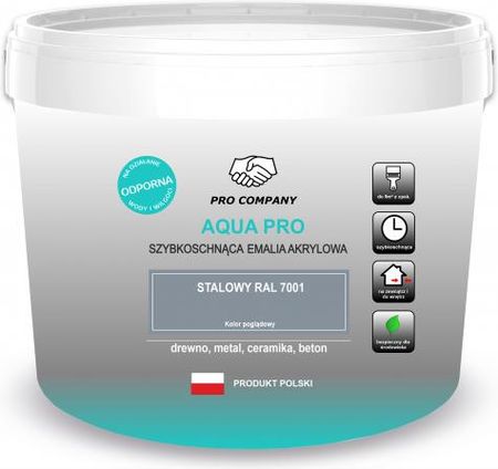 Pro Company Aqua Emalia Szybkoschnąca 10l Stalowy RAL7001