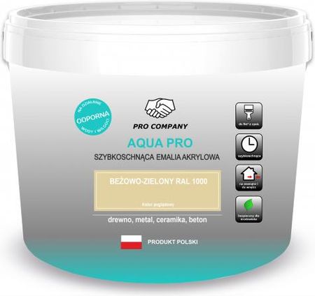 Pro Company Aqua Emalia Szybkoschnąca 10l Beżowo-Zielony RAL1000
